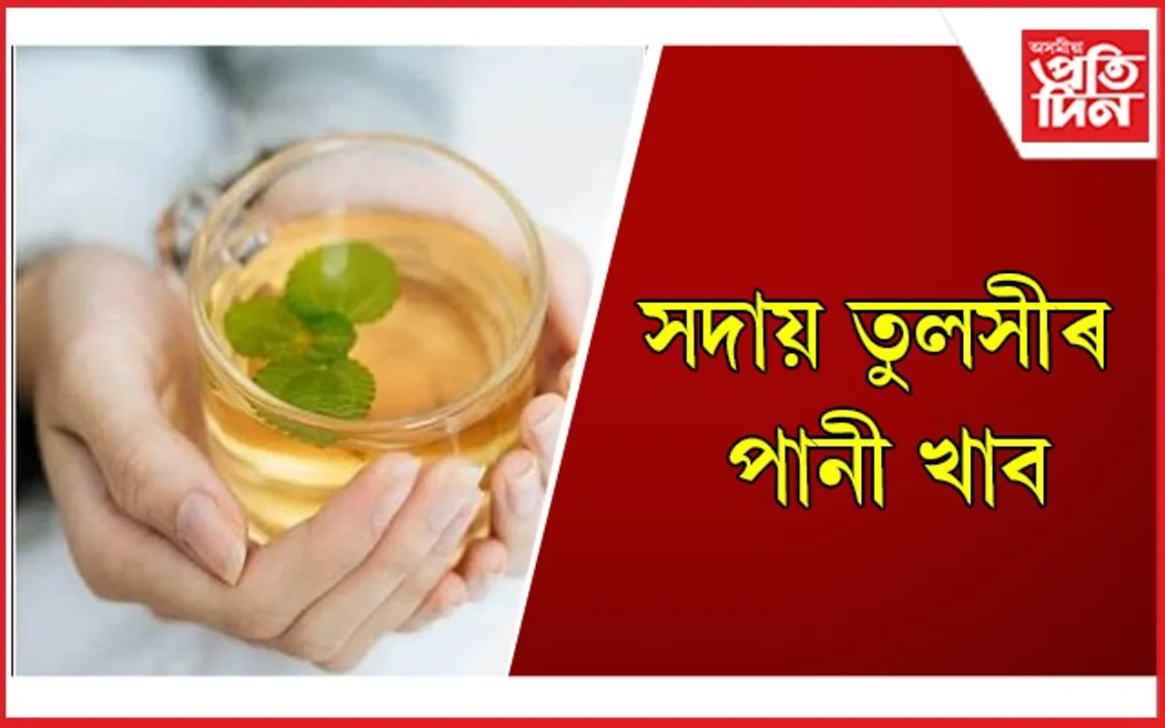 বহু গুৰুতৰ ৰোগৰ ঔষধ তুলসীৰ পাত
